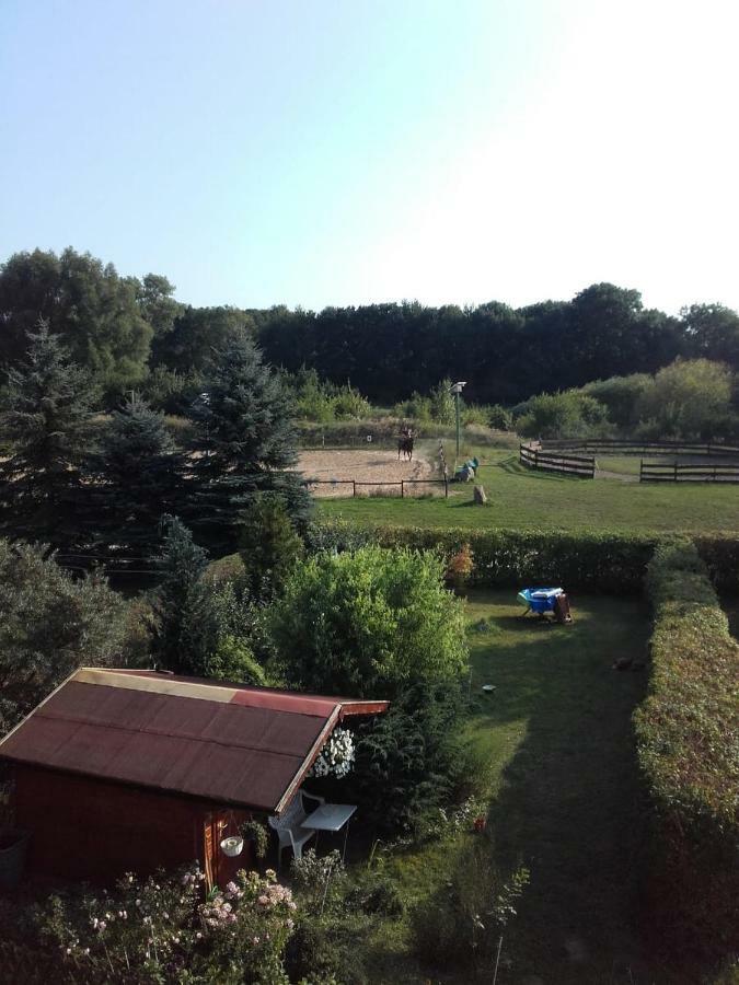 Reiterhof Gross Stubben Apartment Poseritz Екстериор снимка