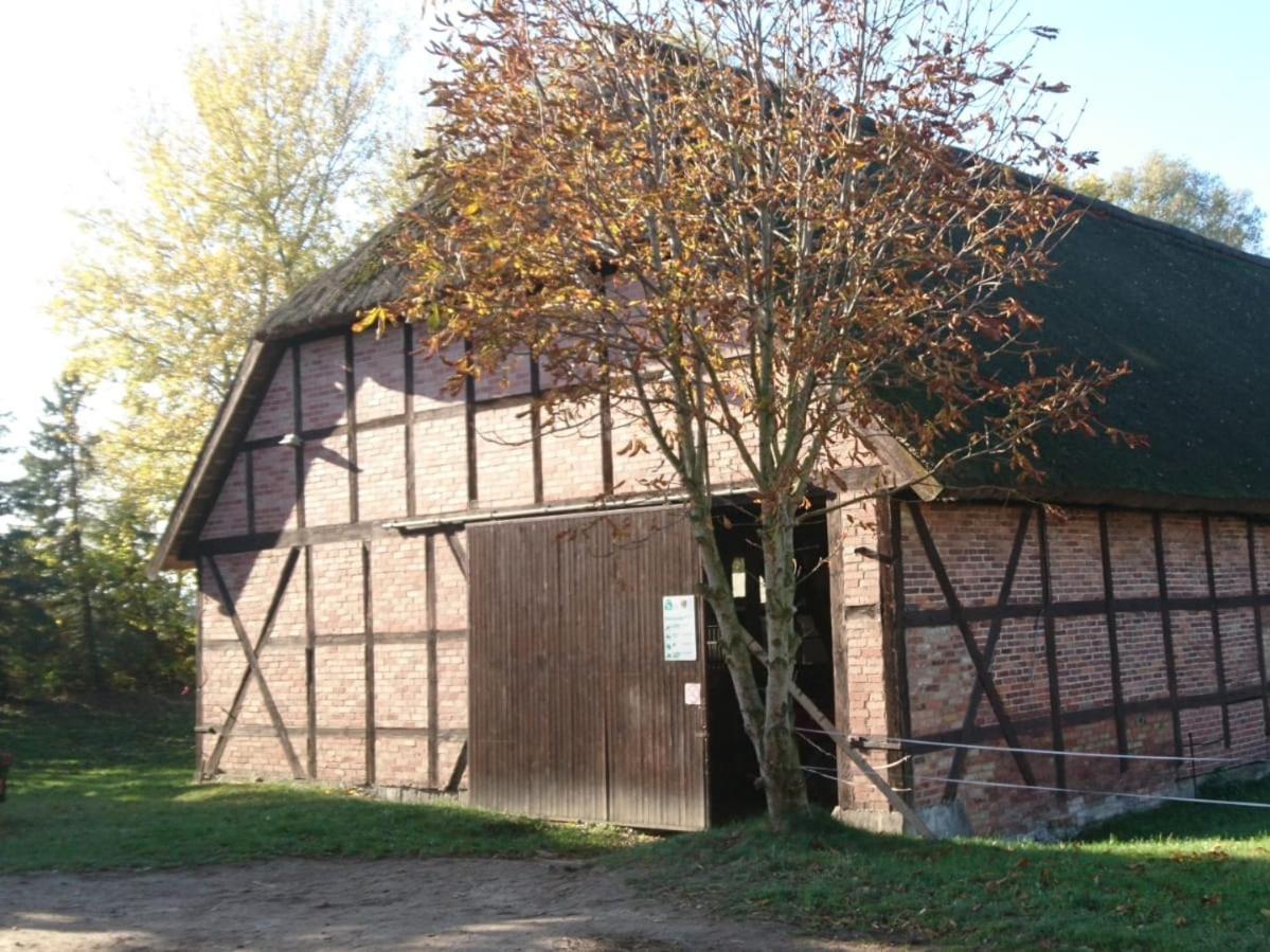 Reiterhof Gross Stubben Apartment Poseritz Екстериор снимка